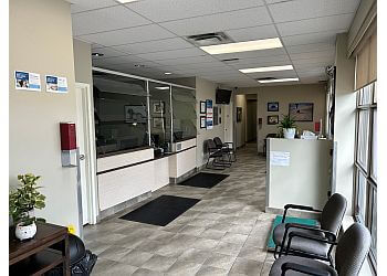 London veterinary clinic London Regional Veterinary Emergency and Referral Hospital