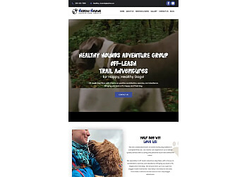 Nanaimo web designer LYNK Website Design