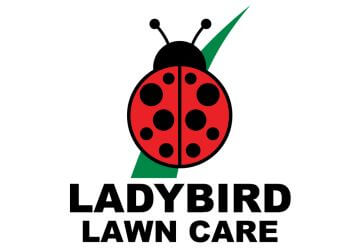 Ladybird Lawn Care