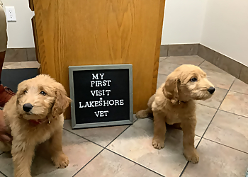 Sarnia Cliniques Vétérinaires Lakeshore Veterinary Clinic
