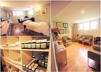 Mississauga naturopathy clinic Lakeside Natural Health Centre