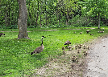 Kitchener Sentiers De Randonnée Lakeside Park