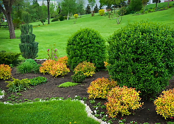 Red Deer Paysagistes Landscape NinjaExperts Red Deer