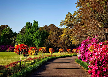 Coquitlam lawn care service Landscaping Coquitlam Ecopros