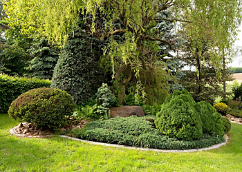 Prince George landscaping company Landscaping Rooted Experts