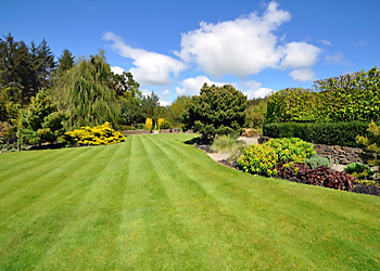 Prince George landscaping company Landscaping Rooted Experts