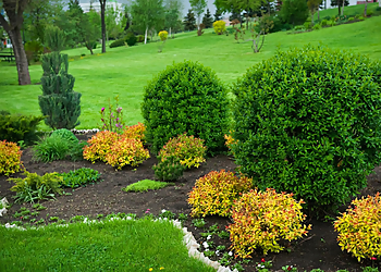 Prince George landscaping company Landscaping Rooted Experts