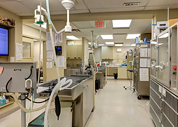 Langley Animal Clinic - Langley, BC Veterinary Clinics - Treatment Room Image
