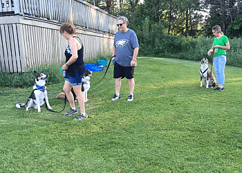 Granby Dresseurs De Chiens La niche du Canton