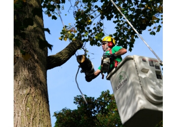 Stratford tree service Lanktree Tree Services