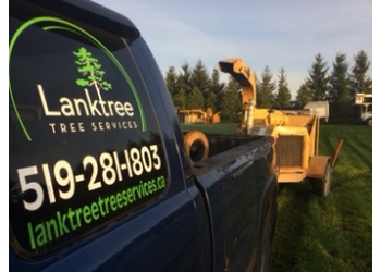 Stratford Services d'arboriculteur Lanktree Tree Services