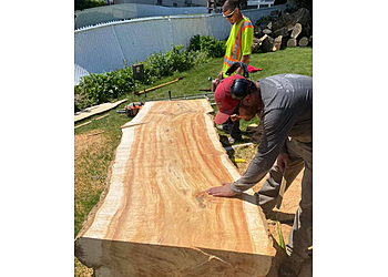 Trois Rivieres tree service L'artisan De L'arbre