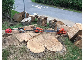 Trois Rivieres tree service L'artisan De L'arbre
