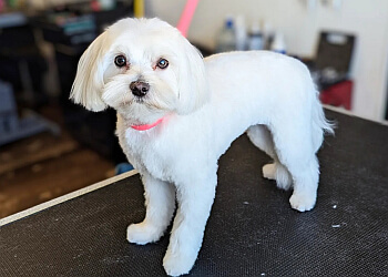 Waterloo Salons de Toilettage Pour Animaux De Compagnie Laura Leigh Grooming