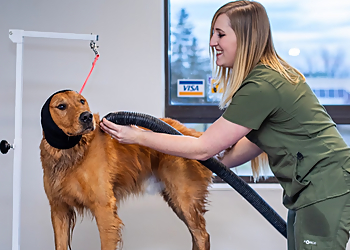 Laura Leigh Grooming - Waterloo, ON Salons de Toilettage Pour Animaux De Compagnie - Service Highlights