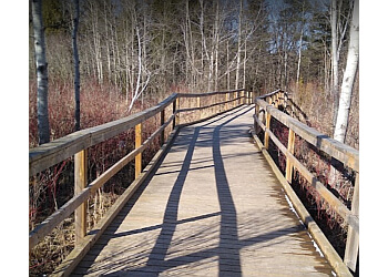 Waterloo hiking trail Laurel Creek Conservation Area