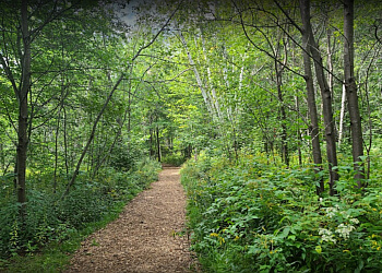 North Bay hiking trail Laurier Woods Conservation Area