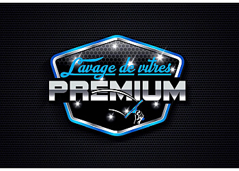 Levis window cleaner Lavage de Vitres Premium