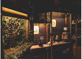 Levis places to see Le Bunker De La Science