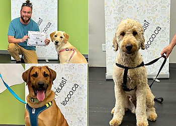 Gatineau dog trainer Le Centre canin de l'Outaouais