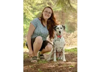 Gatineau
Dresseurs De Chiens
Le Centre canin de l'Outaouais image 1