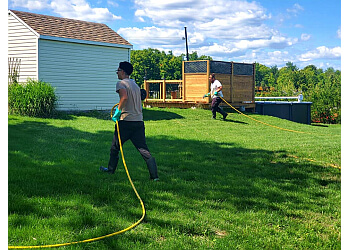 Laval Service D'Entretien De Pelouse Le Génie en Herbe