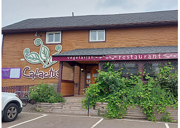 Moncton vegetarian restaurant Le menu du Calactus