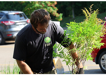 Quebec Paysagistes Les Artisans Du Paysage
