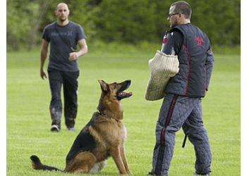 Laval Dresseurs De Chiens Les Mordus du chien