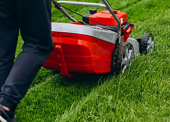 Les Services Alpha - Saint Jean sur Richelieu, QC Lawn Care Services - Job Site Image