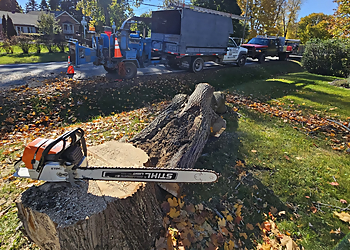 Les Services d'Arbres Tougas - Saint Jean sur Richelieu, QC Tree Services - Tools and Equipment Image