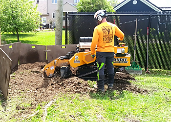 Les Services d'Arbres Tougas - Saint Jean sur Richelieu, QC Tree Services - Field Work Image
