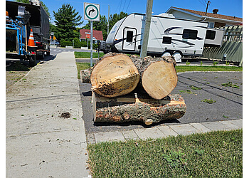 Saint Jean sur Richelieu Services d'arboriculteur Les Services d'Arbres Tougas