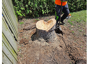 Saint Jean sur Richelieu Services d'arboriculteur Les Services d'Arbres Tougas