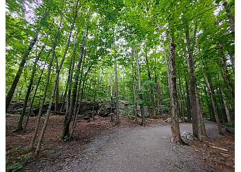 Granby hiking trail Les boisés miner Parc Ecologique image 1