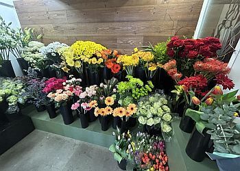 Quebec Fleuristes Les fleurs d'Alicia