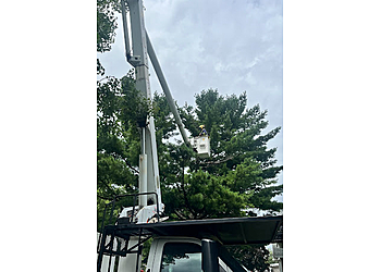 Longueuil tree service Les Émondages Dansereau Inc.