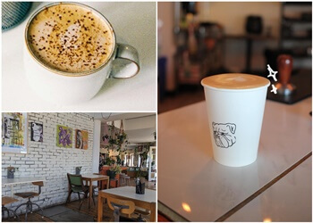 Trois Rivieres cafe Lewis Café TR