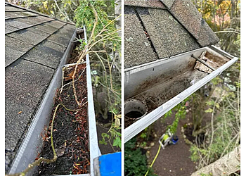 Niagara Falls gutter cleaner Liftoff Softwash Solutions