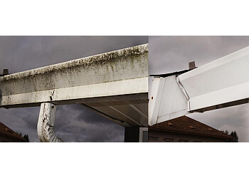 Maple Ridge window cleaner Lil Squirt Power Washing