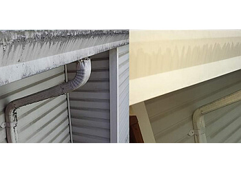 Maple Ridge window cleaner Lil Squirt Power Washing