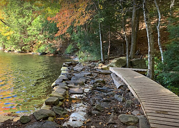 Huntsville hiking trail Limberlost Forest and Wildlife Reserve