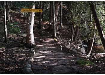 Huntsville hiking trail Limberlost Forest and Wildlife Reserve