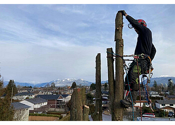 Burnaby tree service Linden Tree Care