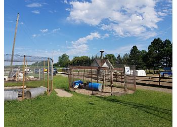 Stouffville places to see Lionel's Farm