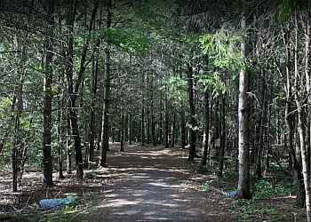 Kingston hiking trail Little Cataraqui Creek Conservation Area