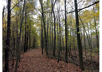 Cambridge Sentiers De Randonnée Little Tract Trail