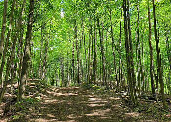 Cambridge Sentiers De Randonnée Little Tract Trail