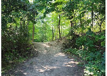 Little Tract Trail