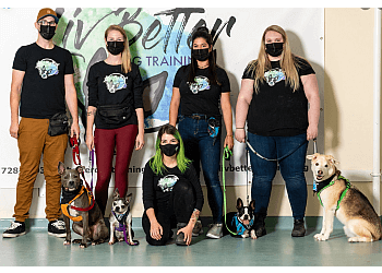 St Johns dog trainer Liv Better Dog Training